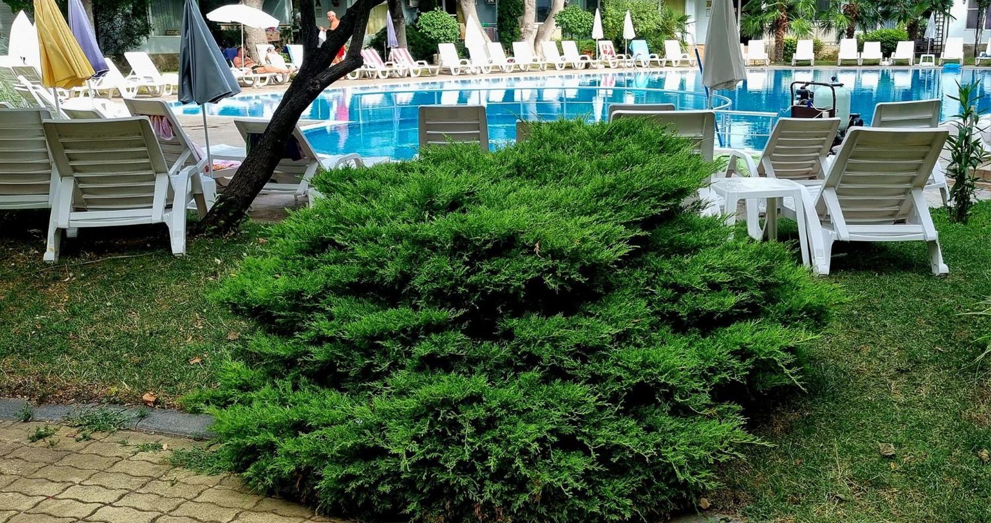 Niko Apartments Sunny Beach Buitenkant foto